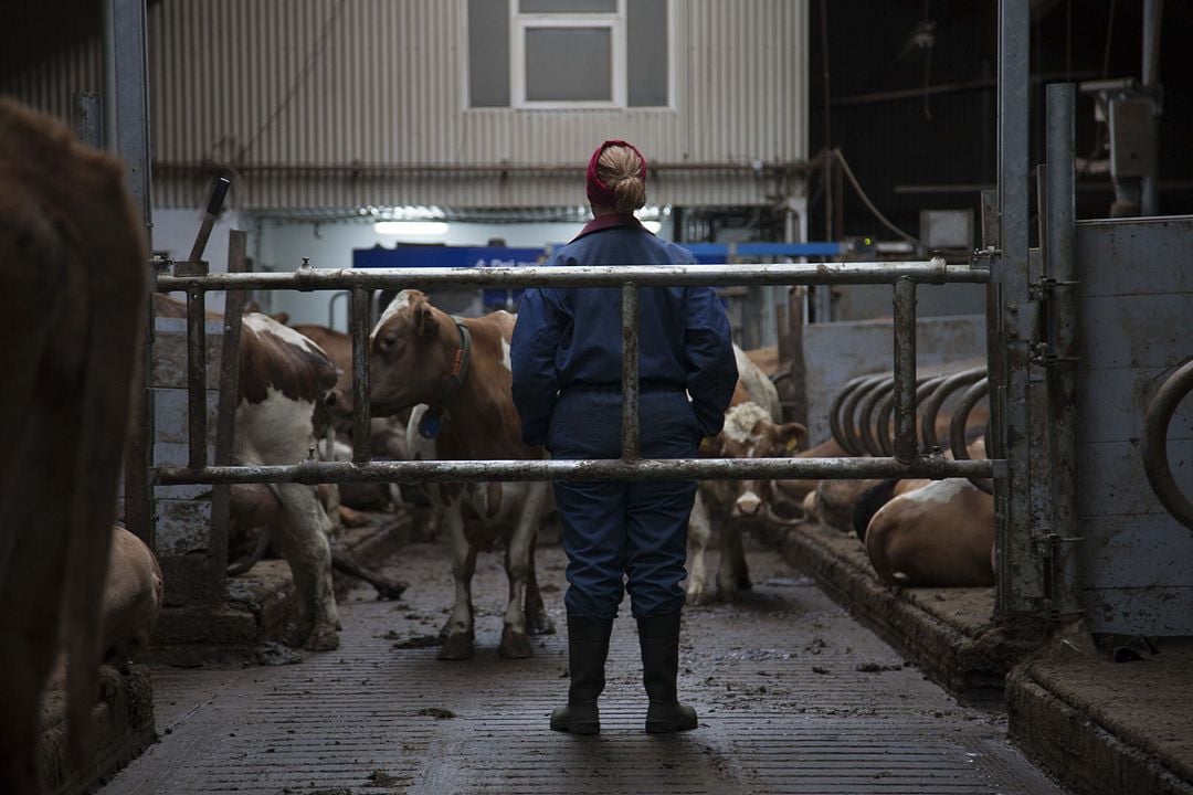MJÓLK, La guerre du lait : Photo Arndís Hrönn Egilsdóttir