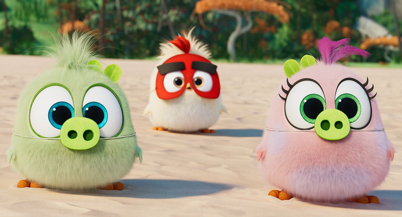 Angry Birds : Copains comme cochons : Photo