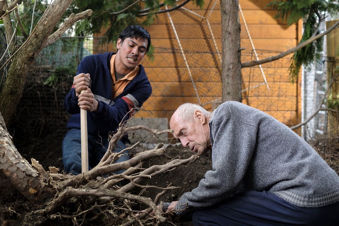 Nobadi : Photo Heinz Trixner, Borhanulddin Hassan Zadeh