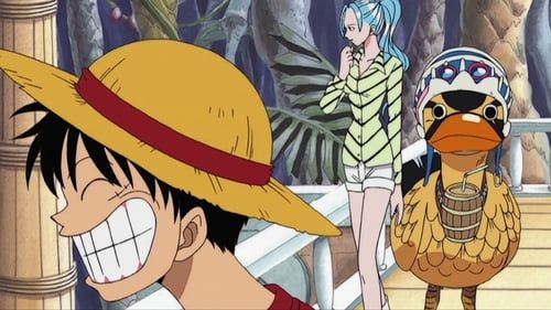 One Piece : Photo