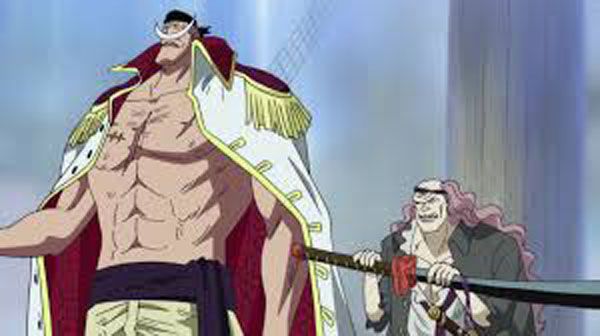 One Piece : Photo