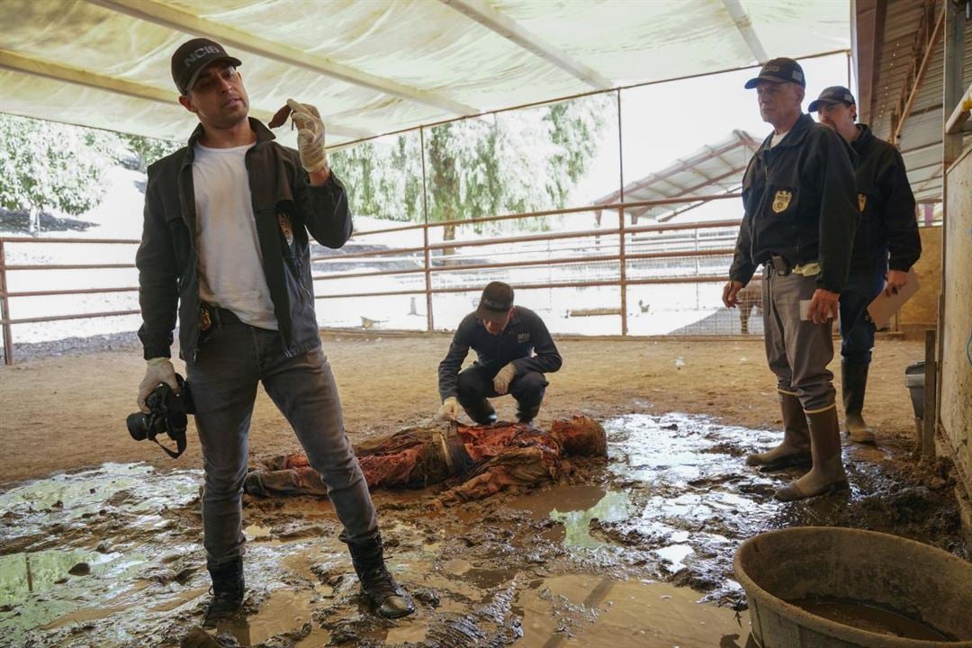 NCIS : Enquêtes spéciales : Photo Mark Harmon, Wilmer Valderrama, Sean Murray