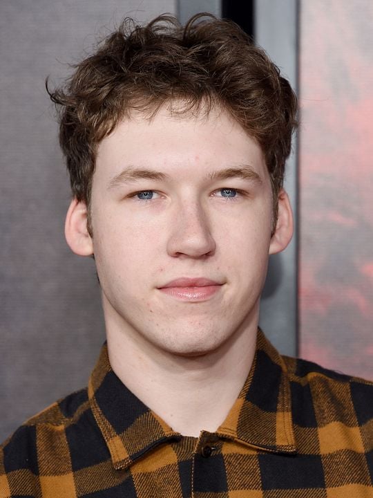 Affiche Devin Druid