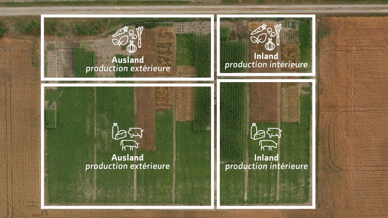 Manger autrement - L'expérimentation : Photo