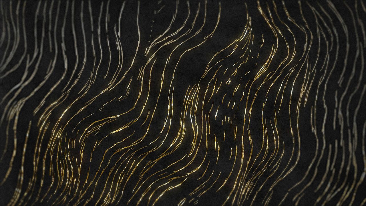 Balades sous les étoiles : Photo