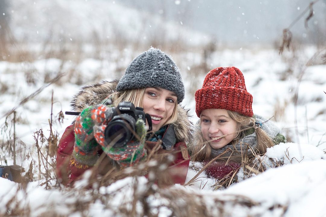 Noël dans la forêt de la chouette : Photo