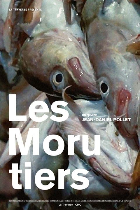 Les Morutiers : Affiche