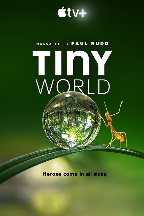 Tiny World : Affiche