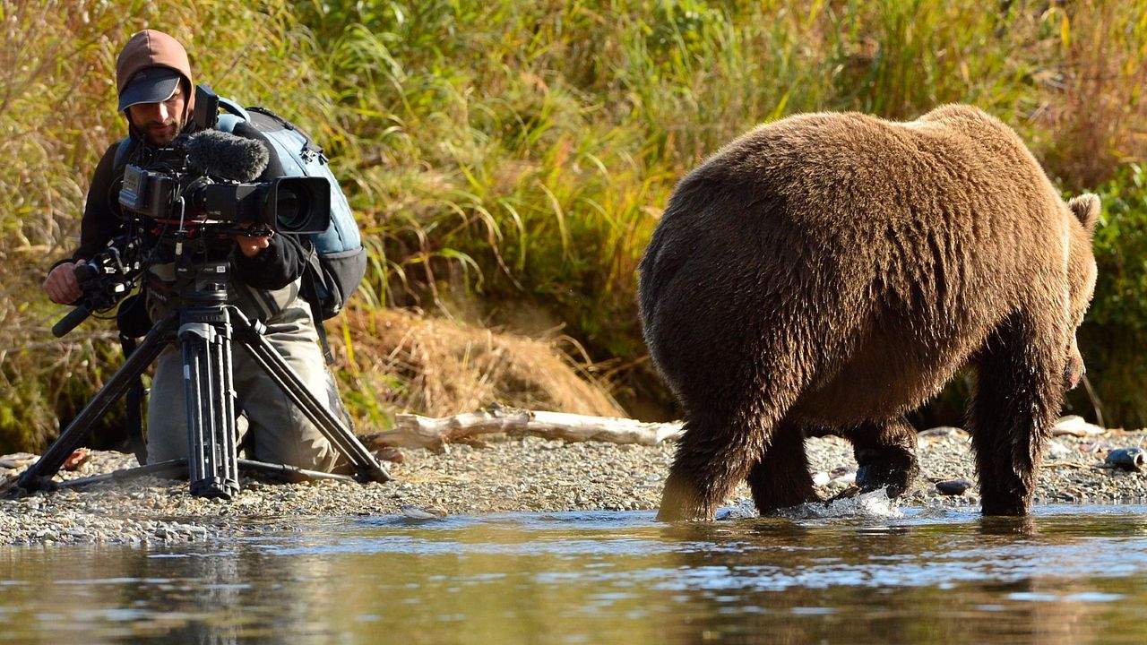 L'Ours en Moi : Photo