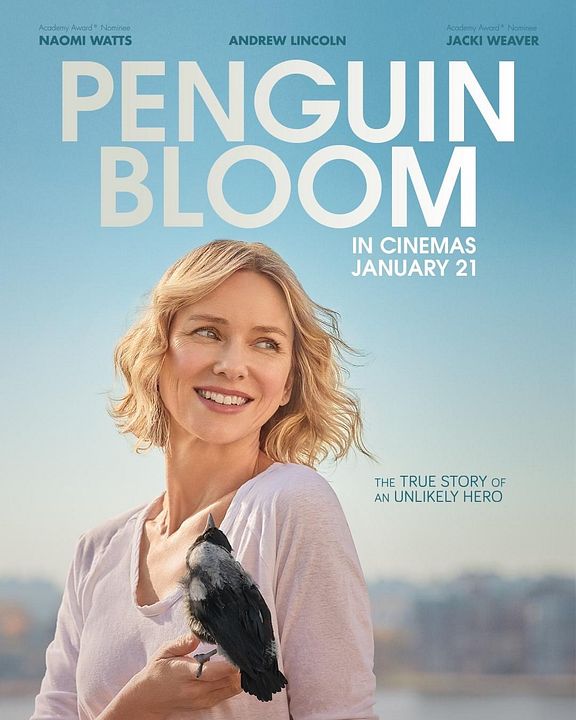 Penguin Bloom : Affiche