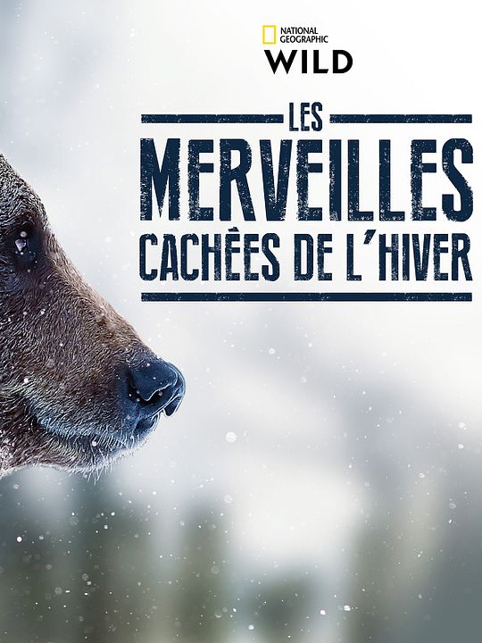 Les merveilles cachées de l’hiver : Affiche