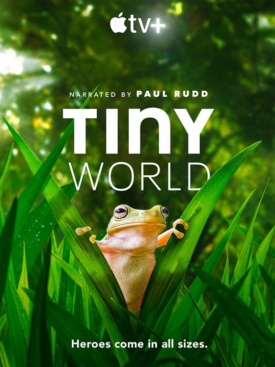 Tiny World : Affiche