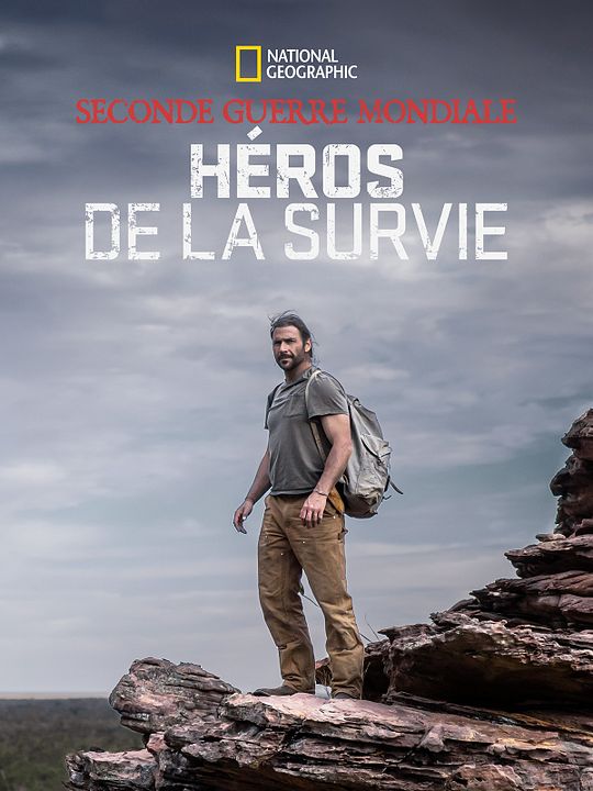 Seconde guerre mondiale : Héros de la survie : Affiche