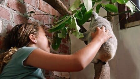 Izzy et les koalas : Affiche