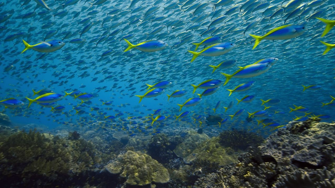 Notre planète a ses limites : L'alerte de la science : Photo