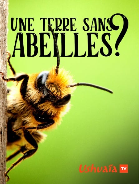 Une terre sans abeilles ? : Affiche