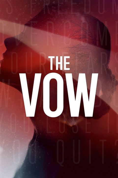 The Vow : Affiche