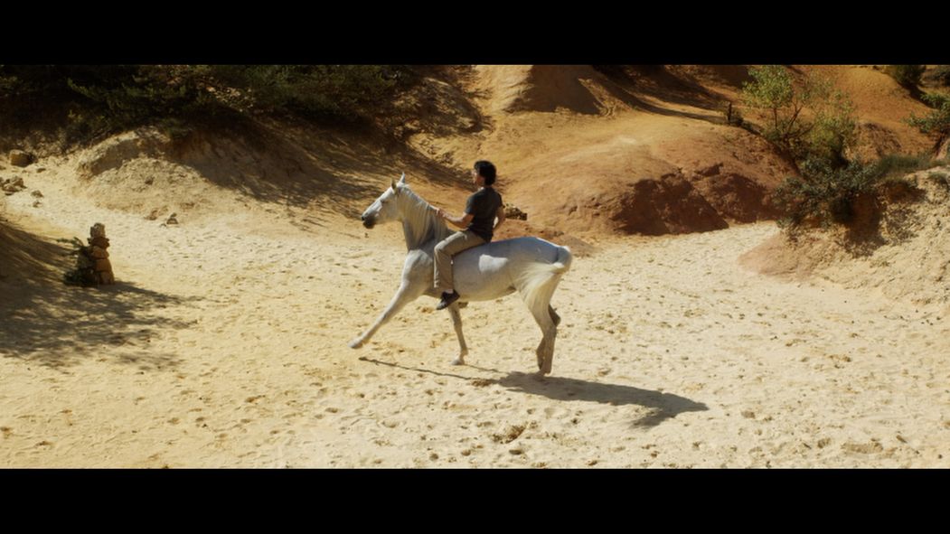 Gazelle : Photo