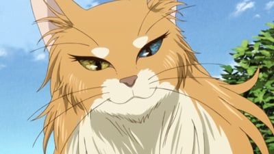 The Ancient Magus' Bride : Affiche