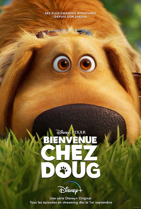 Bienvenue chez Doug : Affiche