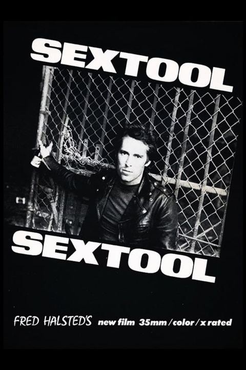 Sextool : Affiche