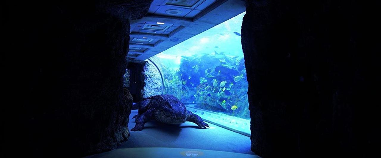 Aquarium de la mort : Photo