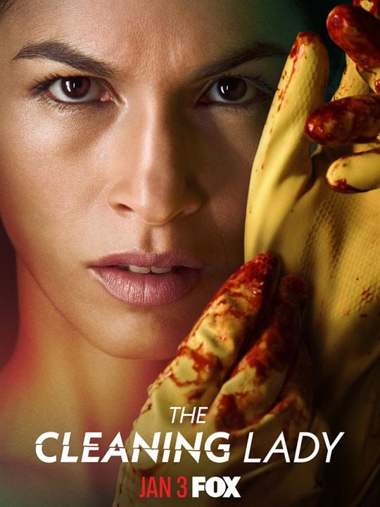 The Cleaning Lady : Affiche
