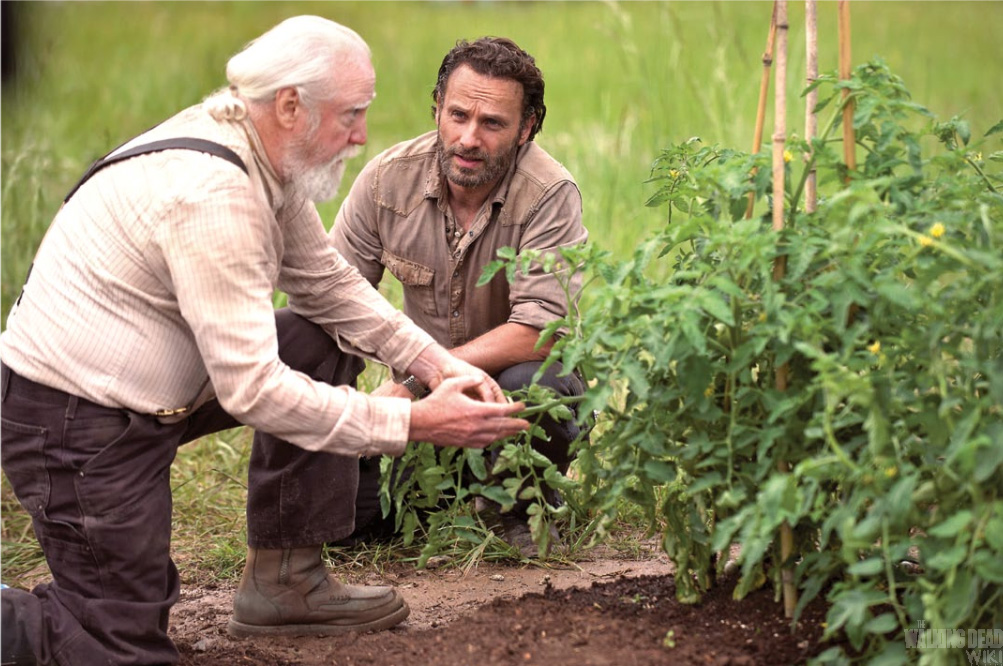 Photo Andrew Lincoln, Scott Wilson