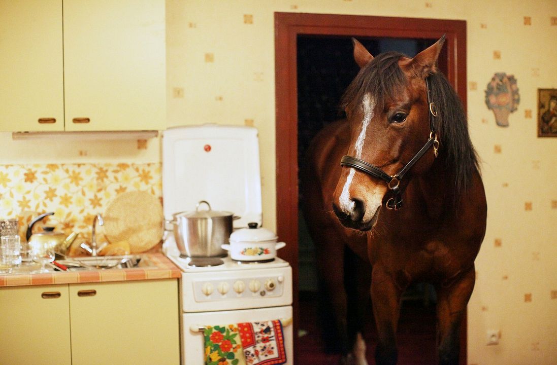 Un Cheval sur le balcon : Photo