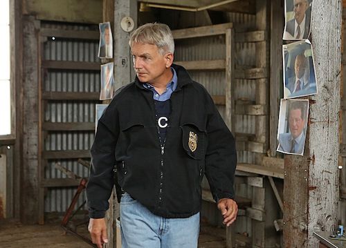 NCIS : Enquêtes spéciales : Photo Mark Harmon