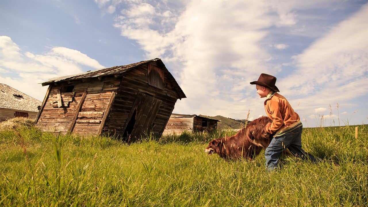 L'Extravagant voyage du jeune et prodigieux T.S. Spivet : Photo Kyle Catlett