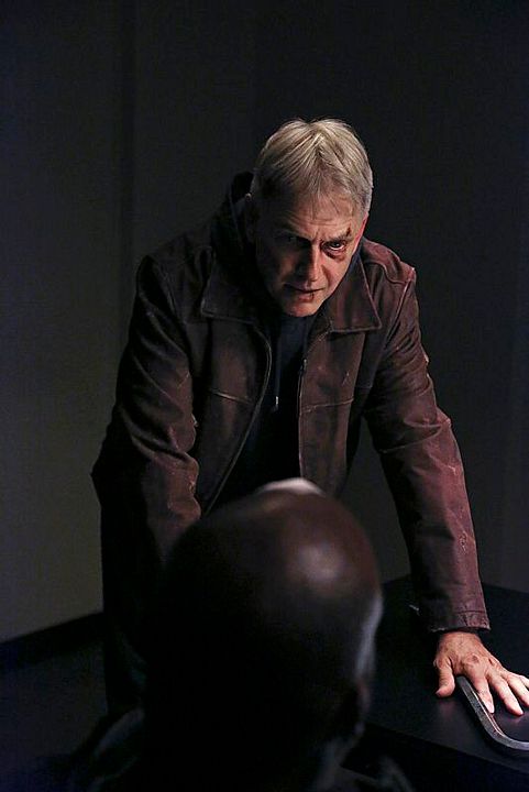 NCIS : Enquêtes spéciales : Photo Mark Harmon