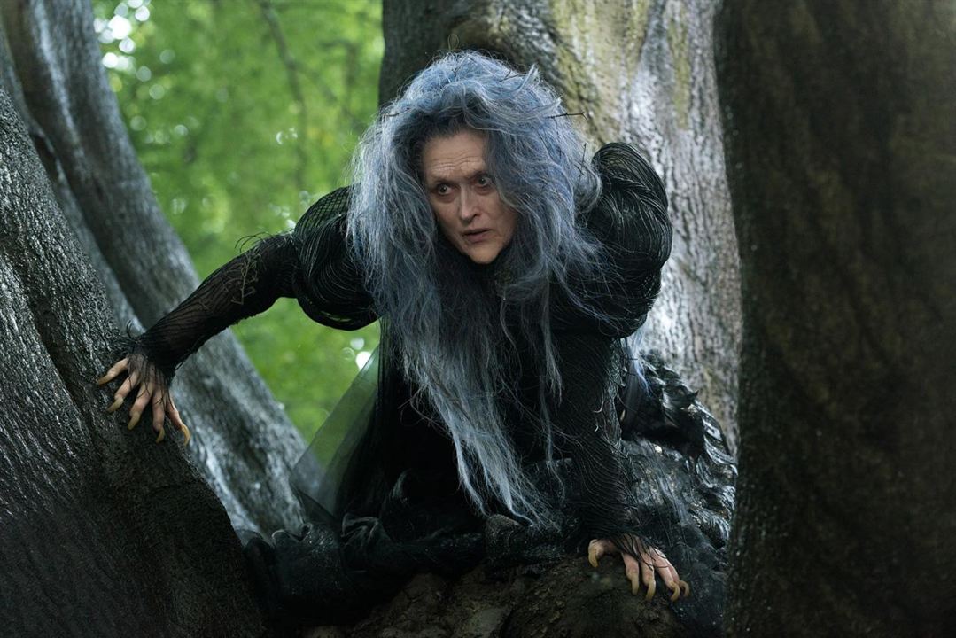 Into the Woods, Promenons-nous dans les bois : Photo Meryl Streep