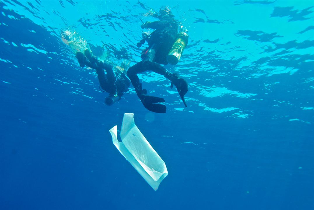 A Plastic Ocean : Photo