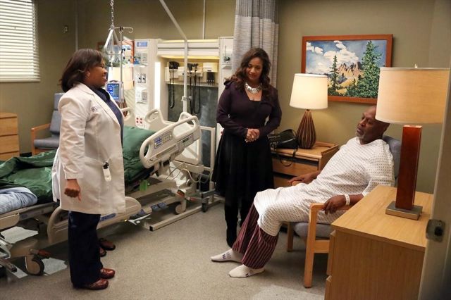 Grey's Anatomy : Photo Chandra Wilson, James Pickens Jr., Debbie Allen