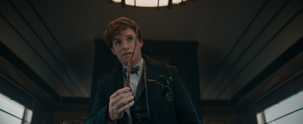 Les Animaux Fantastiques : les Secrets de Dumbledore : Photo Eddie Redmayne