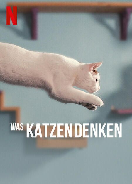 Notre Langue aux Chats : Affiche