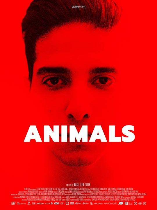 Animals : Affiche