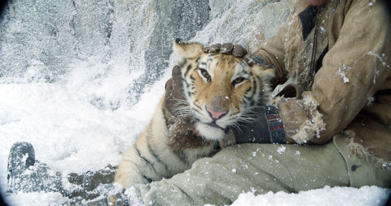 Le Nid du Tigre : Photo