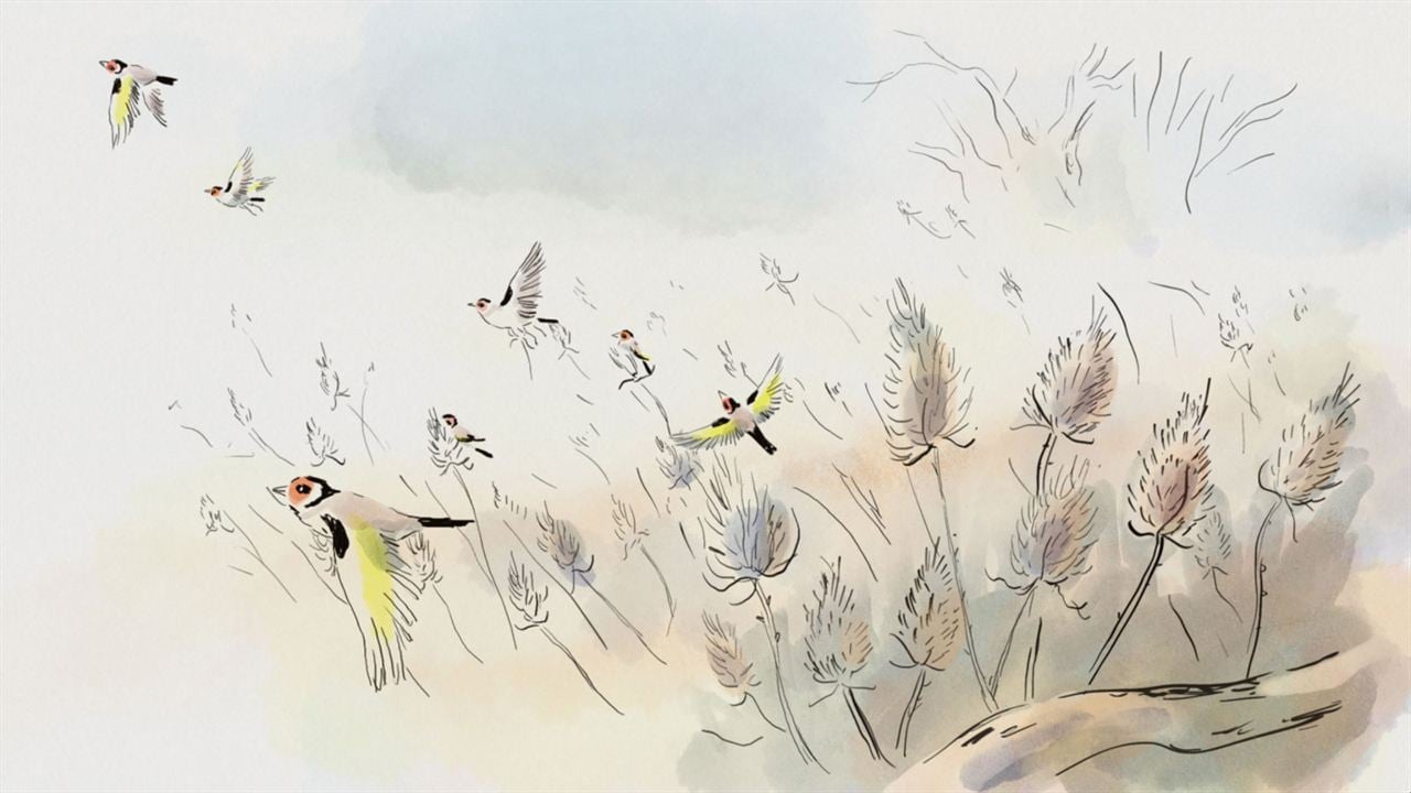 A vol d'oiseaux : Photo