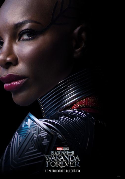 Affiche Du Film Black Panther Wakanda Forever Photo 16 Sur 49 Allociné