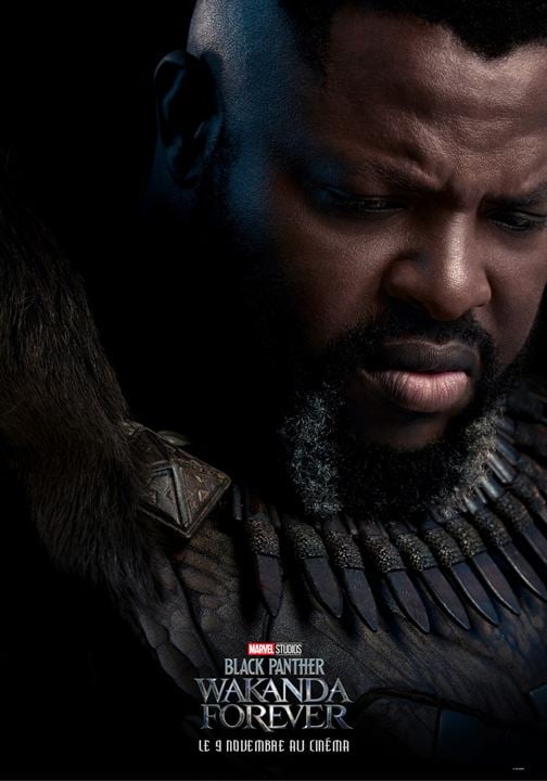 Black Panther: Wakanda Forever : Affiche