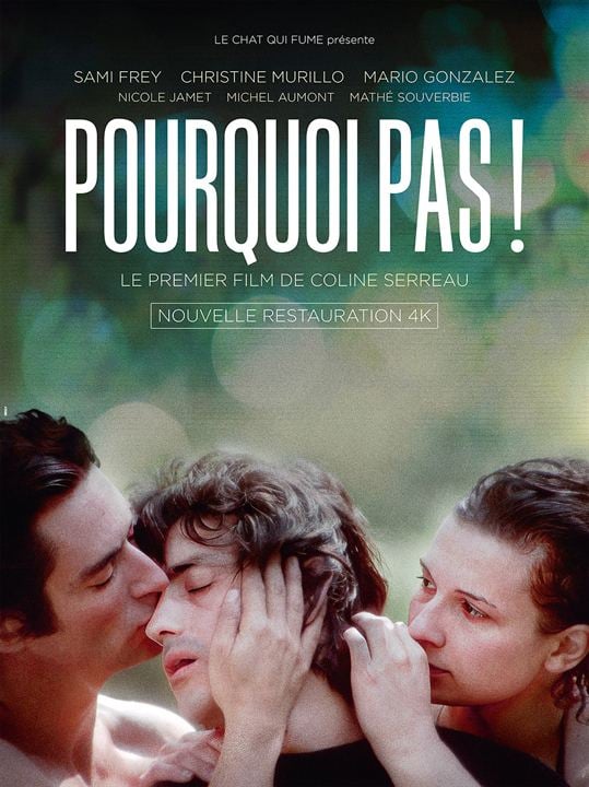 Pourquoi pas! : Affiche