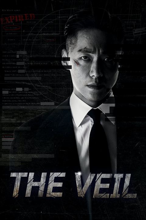 The Veil : Affiche