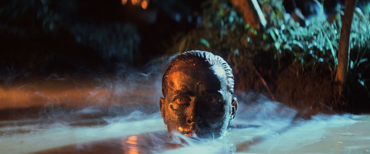 Apocalypse Now Final Cut : Photo Martin Sheen