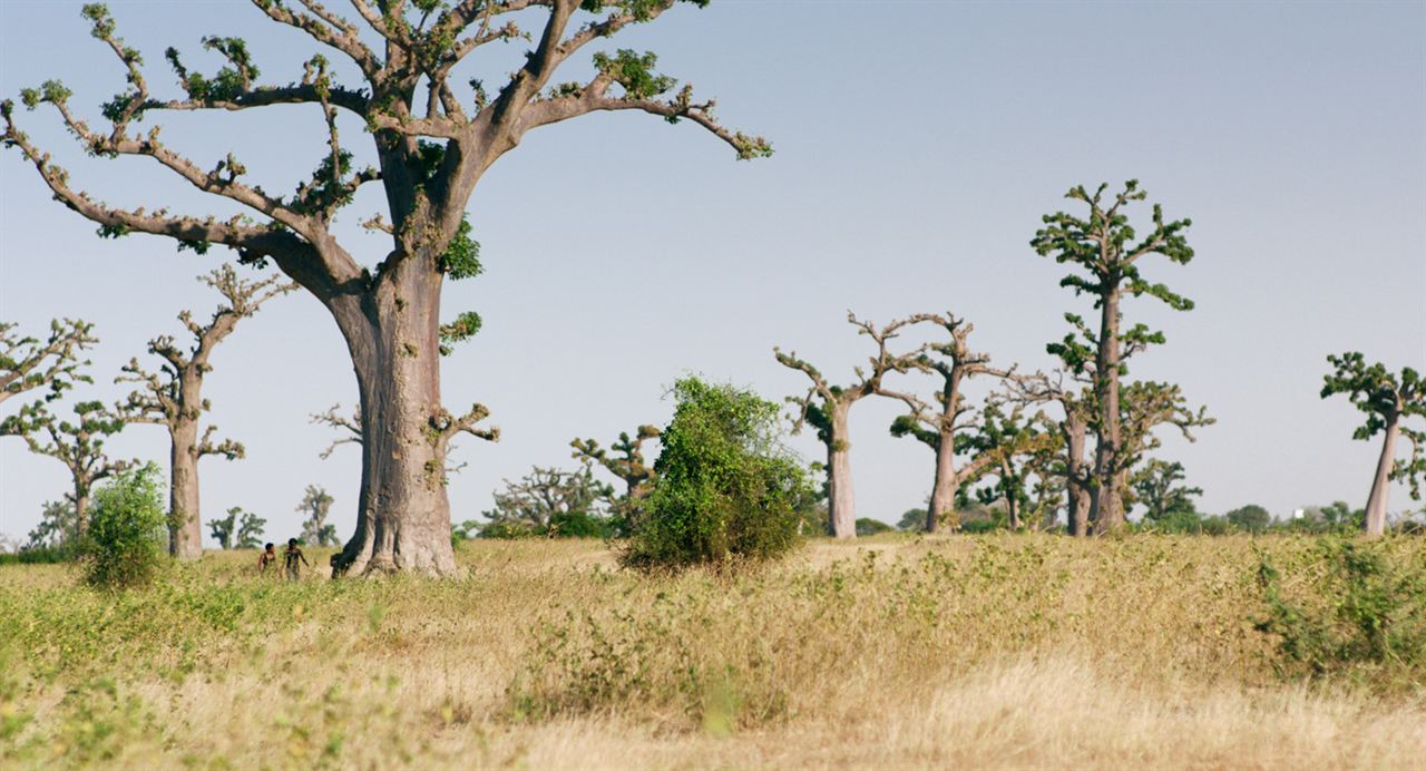 Le Voyage de Talia : Photo Nadège Bibo-Tansia