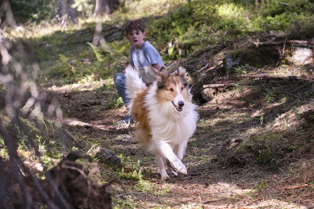 Lassie - Ein neues Abenteuer : Photo Nico Marischka