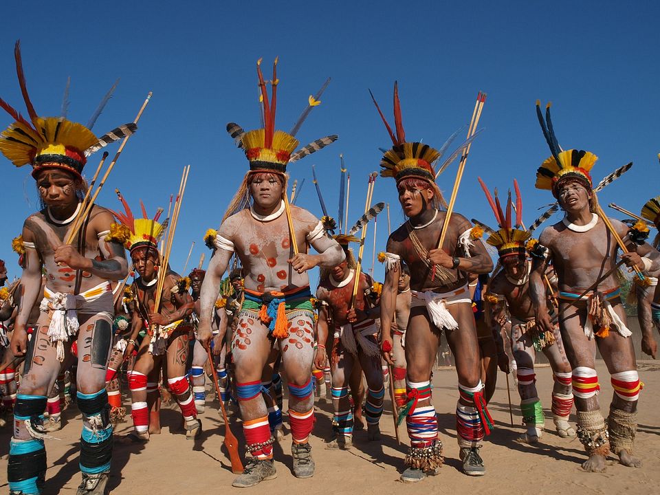 Amazonia, les cueilleurs de mémoires : Photo