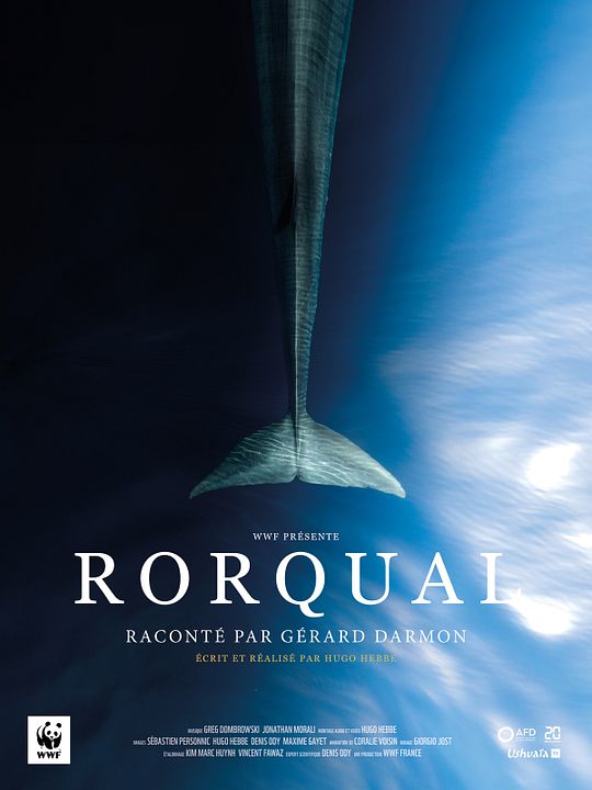 Rorqual : Affiche