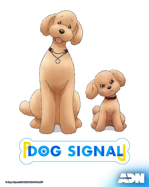 Dog Signal : Affiche